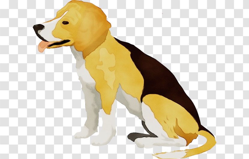 Dog Animal Figure Yellow Breed Sporting Group - Wet Ink - Beagle Tail Transparent PNG
