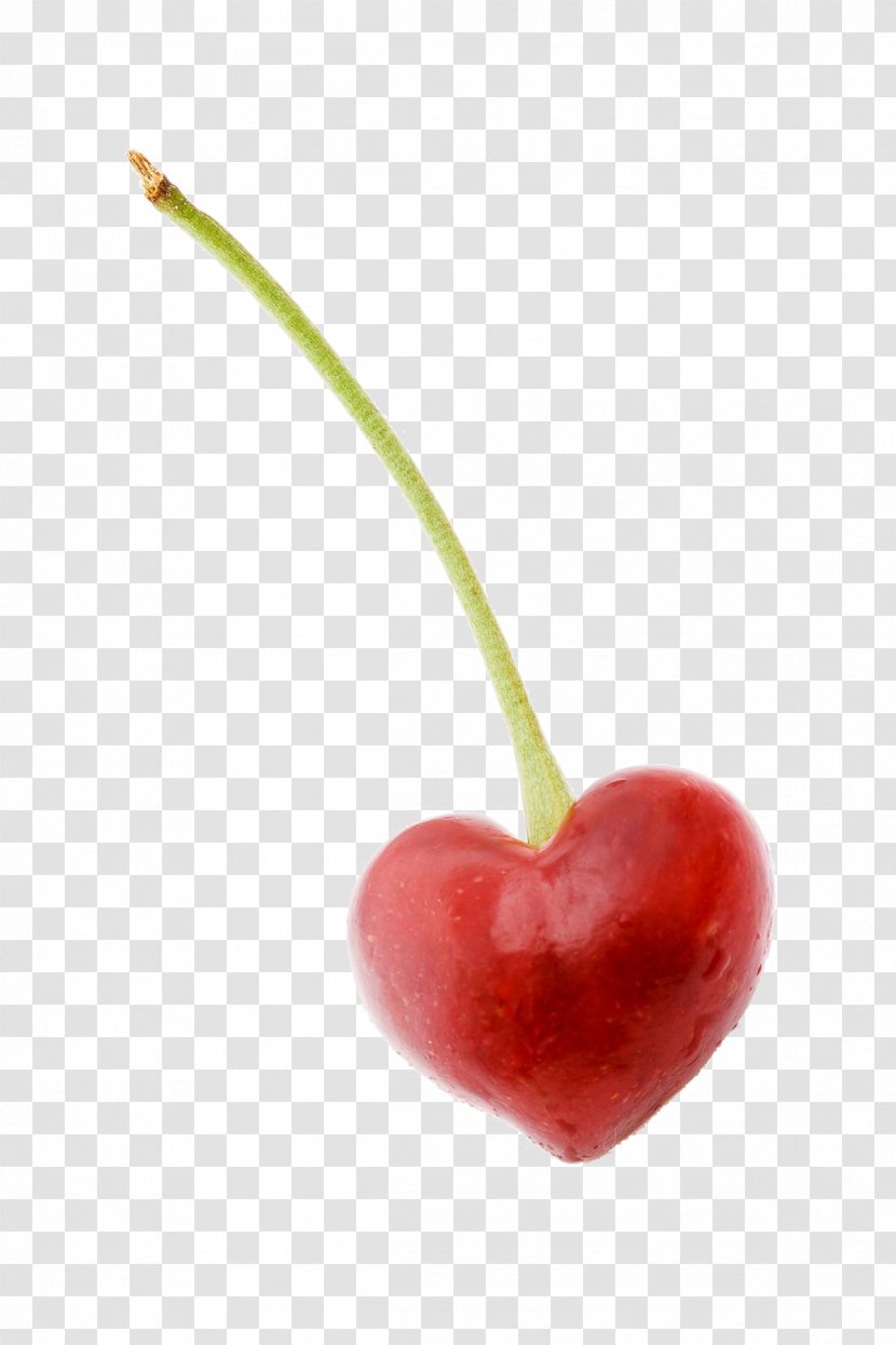 Sweet Cherry Fruit Illustration - Auglis - A Transparent PNG