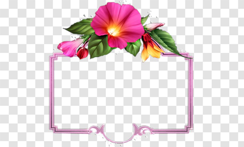 Floral Design - Flora Transparent PNG