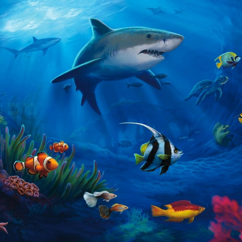 Fish Underwater Desktop Wallpaper Sea Ocean - Lionfish - Aquarium Transparent PNG