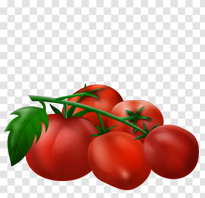 Plum Tomato Vegetable Cherry Bush Fruit - Potato Transparent PNG