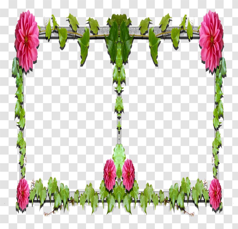 Floral Design Garden Roses Cut Flowers Petal Plant Stem - Rose Family - Hz Transparent PNG