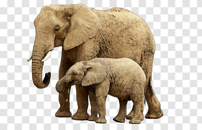 Elephant Child Stock Photography Clip Art - Elephants Transparent PNG