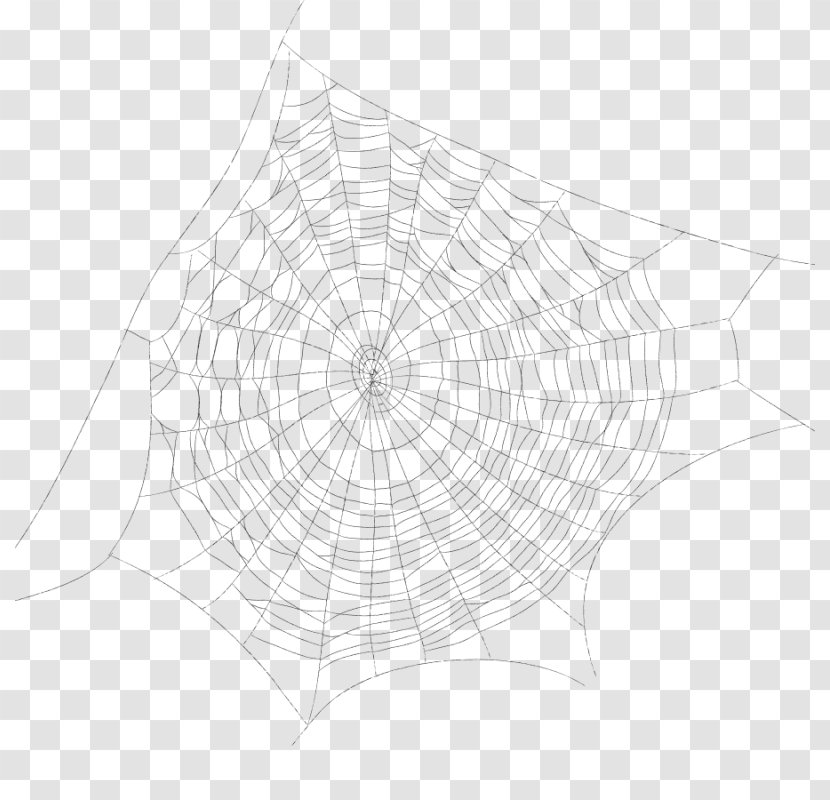 Spider Web Drawing Point - Plant Transparent PNG