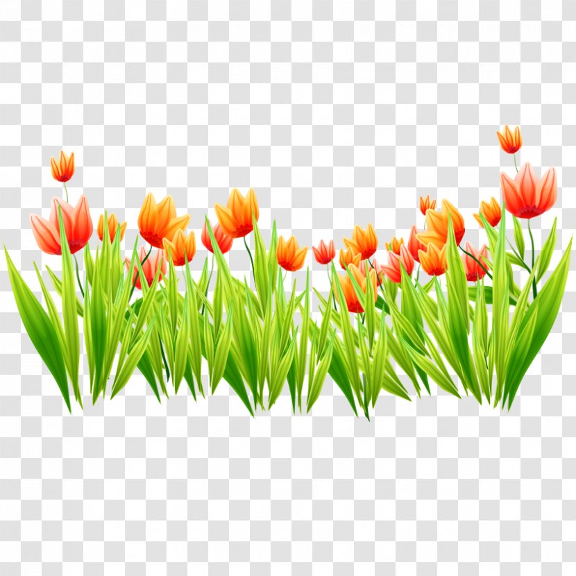 Tulip Icon - Meadow Transparent PNG