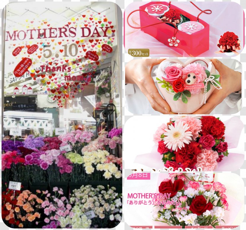 Floral Design Cut Flowers Japan Flower Bouquet - Arranging - Haha Transparent PNG