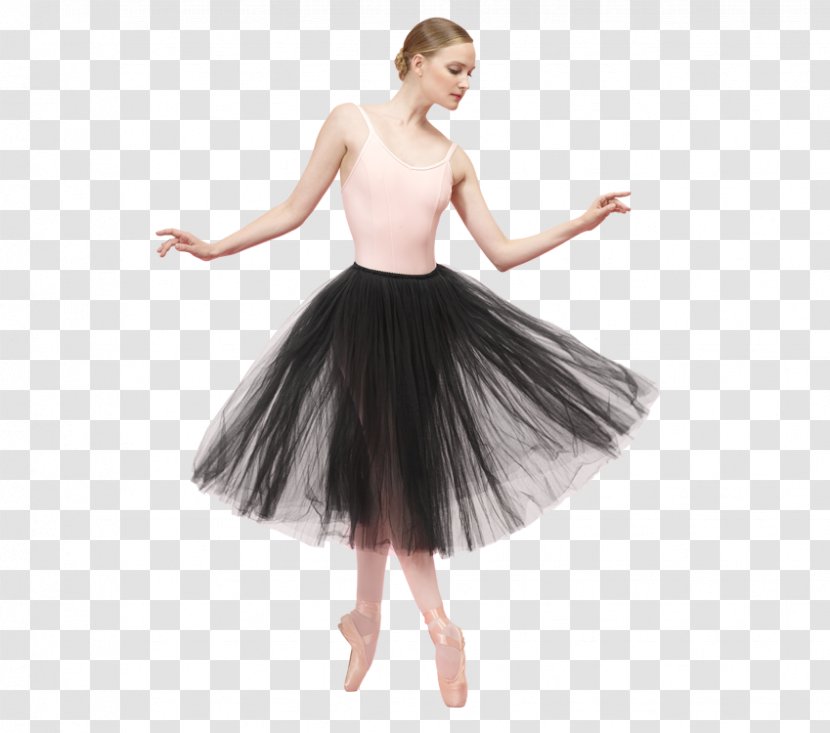 Tutu Ballet Ballerina Skirt Dance - Flower Transparent PNG