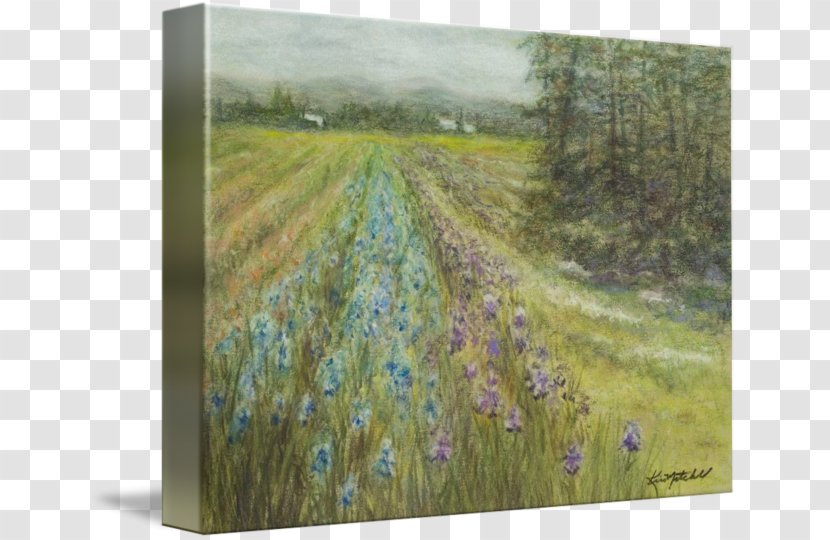 Watercolor Painting Meadow Ecosystem - Paint Transparent PNG