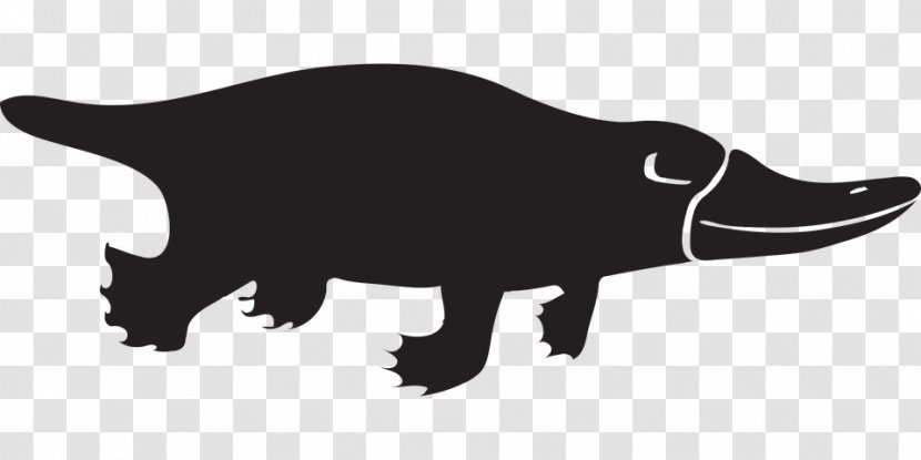 Mammal Platypus Monotreme Animal Leopard - Wildlife - Beaver Cartoon Transparent PNG