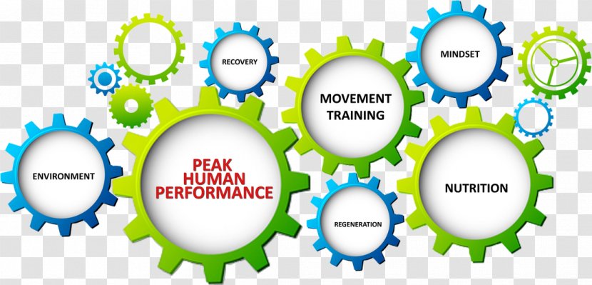 Human Performance Benchmark Technology Information Organization Transparent PNG