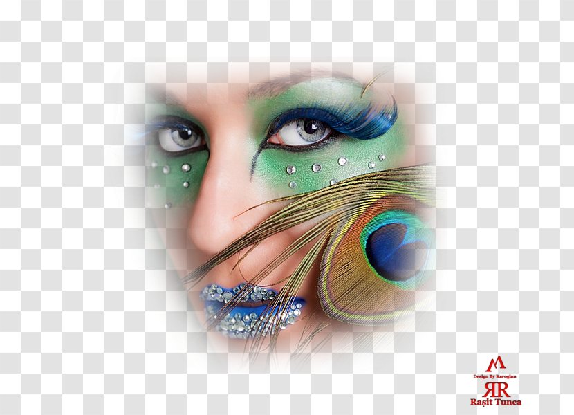 Pavo Blog Photography Feather - Forehead - Iris Transparent PNG