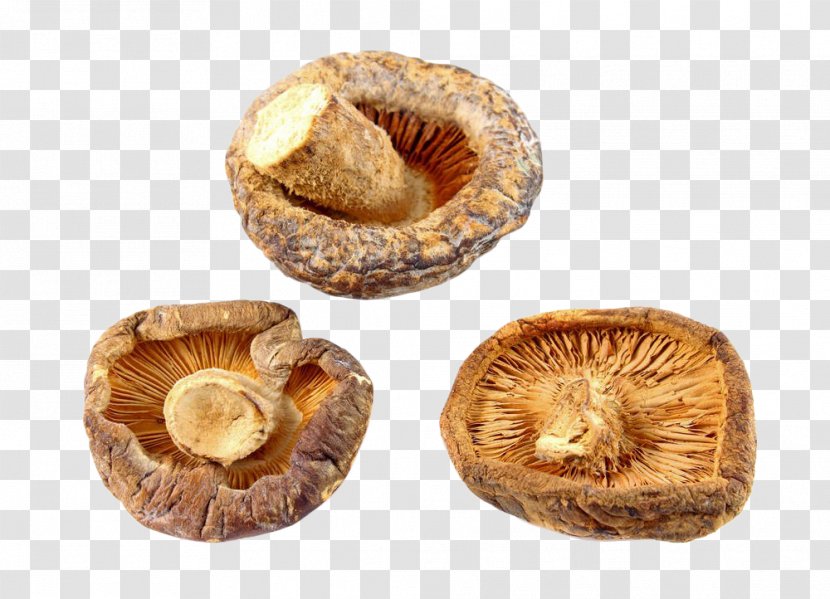 Shiitake Mushroom Stock Photography - Shutterstock - Yellow Dried Mushrooms Transparent PNG