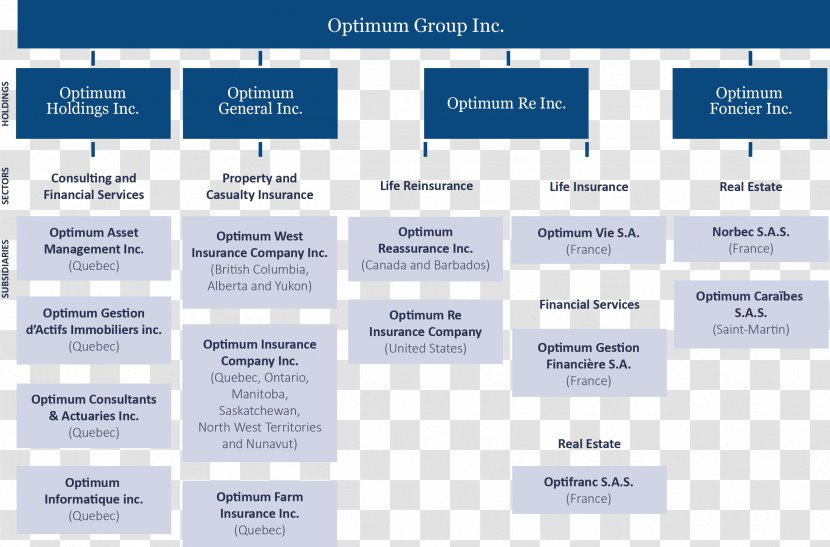 Organizational Chart New York Life Insurance Company Business Transparent PNG