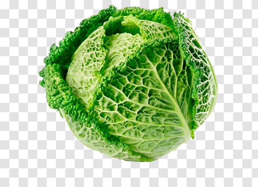Cabbage Roll Savoy Cauliflower Brussels Sprout Red Transparent PNG