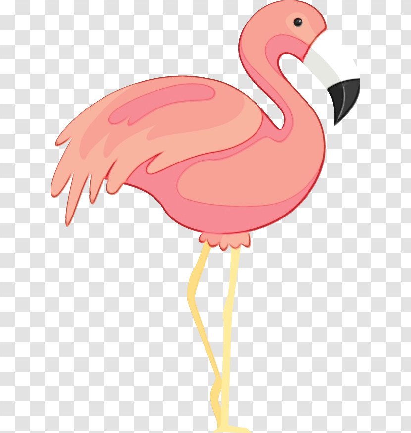 Chicken Flamingo M Beak Pink M Chicken Transparent PNG