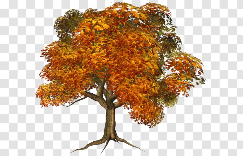 Tree House Autumn Maple Clip Art - Houseplant - Fall Transparent PNG