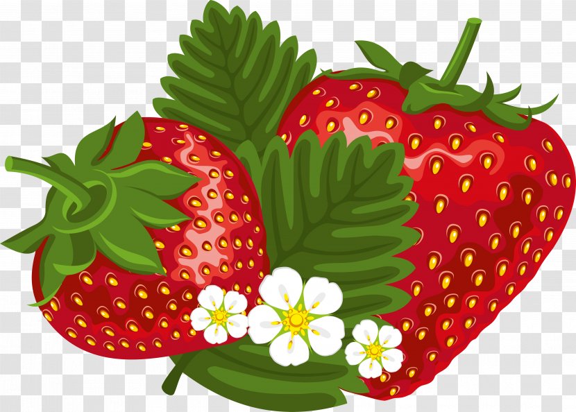 Strawberry Clip Art - Superfood - Fresh Strawberries Transparent PNG