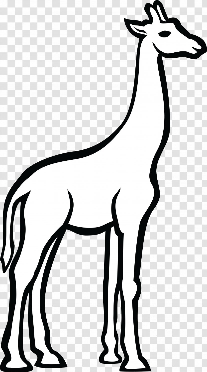 Line Art Drawing Clip - Giraff Transparent PNG