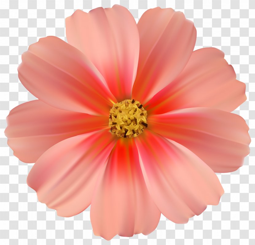 Pink Flowers Rose Clip Art - Fun Daisy Cliparts Transparent PNG