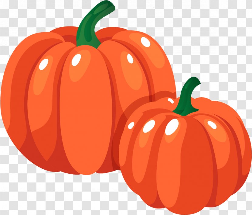 Orange - Plant - Food Bell Peppers And Chili Transparent PNG