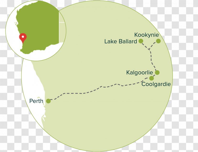 Australia Font Tree Map Animal - Green Transparent PNG