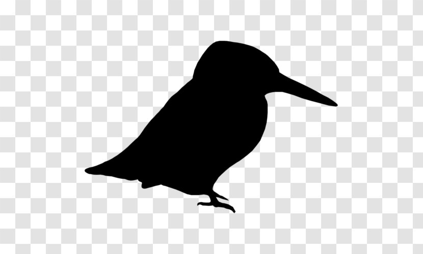 Rook American Crow Common Raven Bird Clip Art - Flightless Transparent PNG