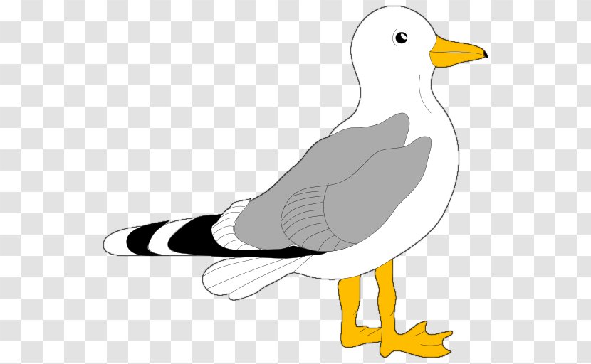 Bird Gulls Clip Art - Black And White - Seagull Transparent PNG