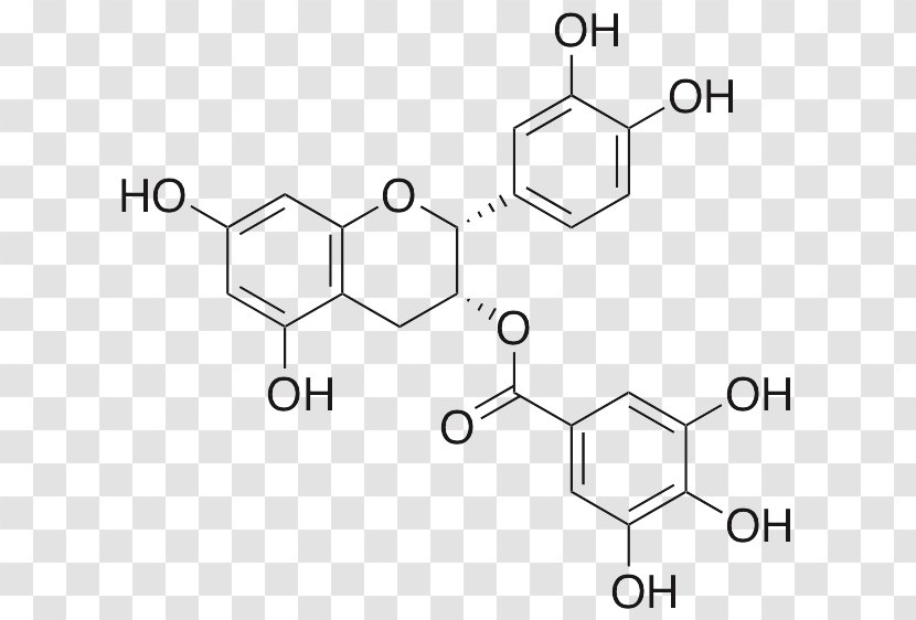 Green Tea Epigallocatechin Gallate Gallocatechol - Parallel Transparent PNG