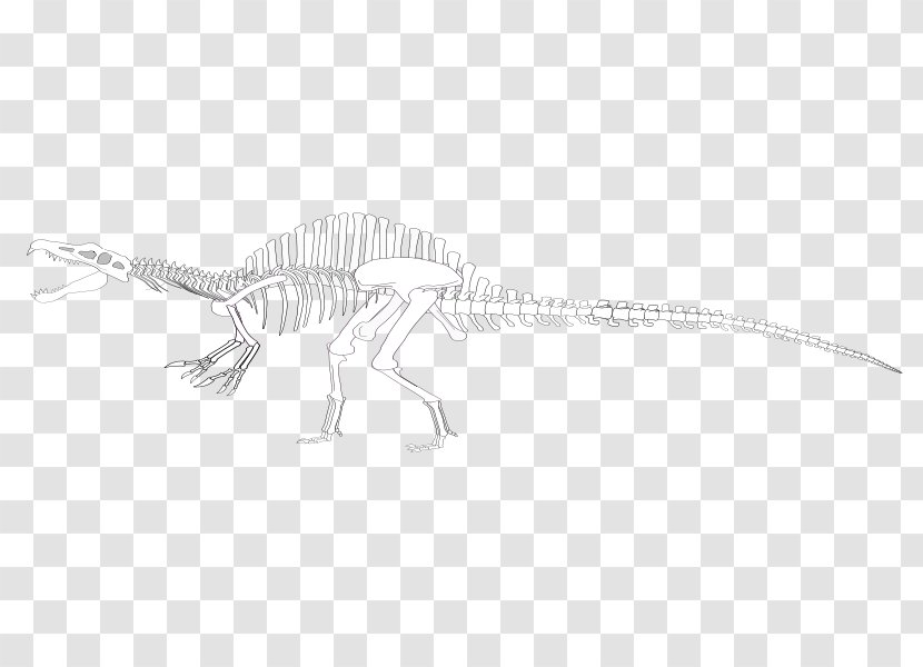 Spinosaurus Tyrannosaurus Tiffany Doggett Velociraptor Wikimedia Commons - Public Domain - Skull Tag Transparent PNG