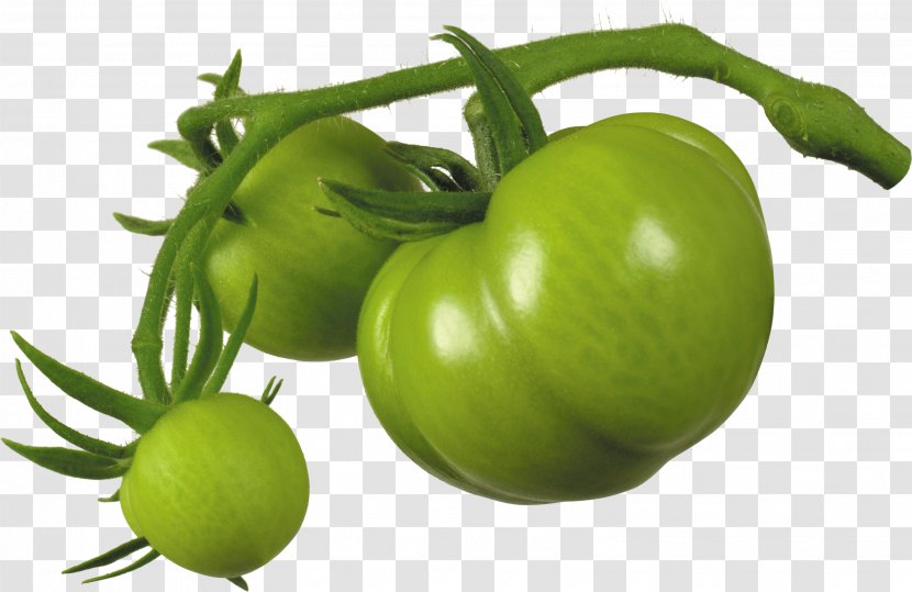 Tomato Juice Cherry Fried Green Tomatoes Italian Pie Tomatillo - Paste Transparent PNG