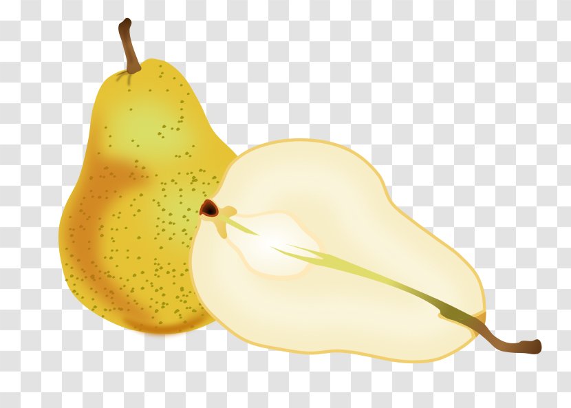 Crisp Fruit Asian Pear Clip Art - Tree - Slices Transparent PNG