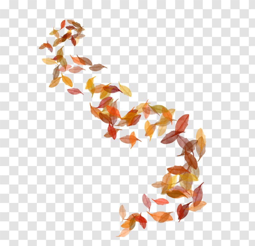 Autumn Leaves Image Leaf - Drawing Transparent PNG