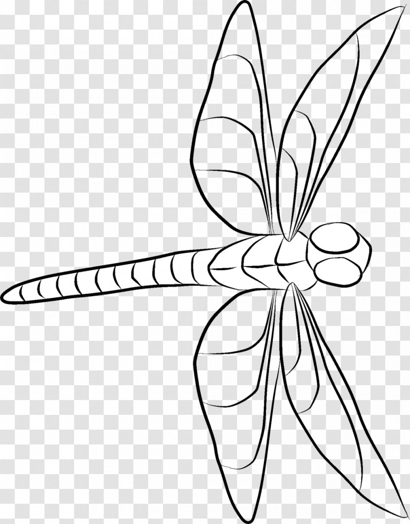 Line Art Drawing Painting - Plant - Dragon Fly Transparent PNG