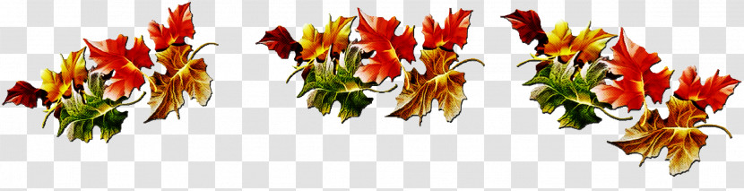 Cut Flowers Leaf Plant Flower Transparent PNG