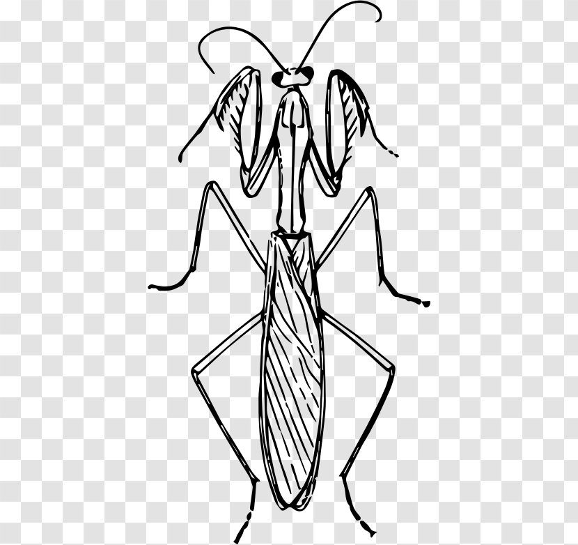 Mantis Clip Art - Monochrome Photography - Praying Transparent PNG