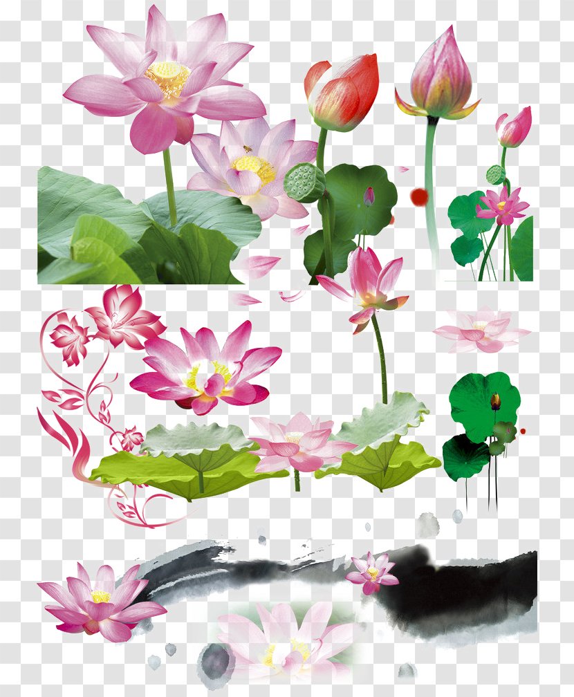Download Leaf Adobe Illustrator Computer File - Flowerpot - Pink Lotus Effect Element Transparent PNG