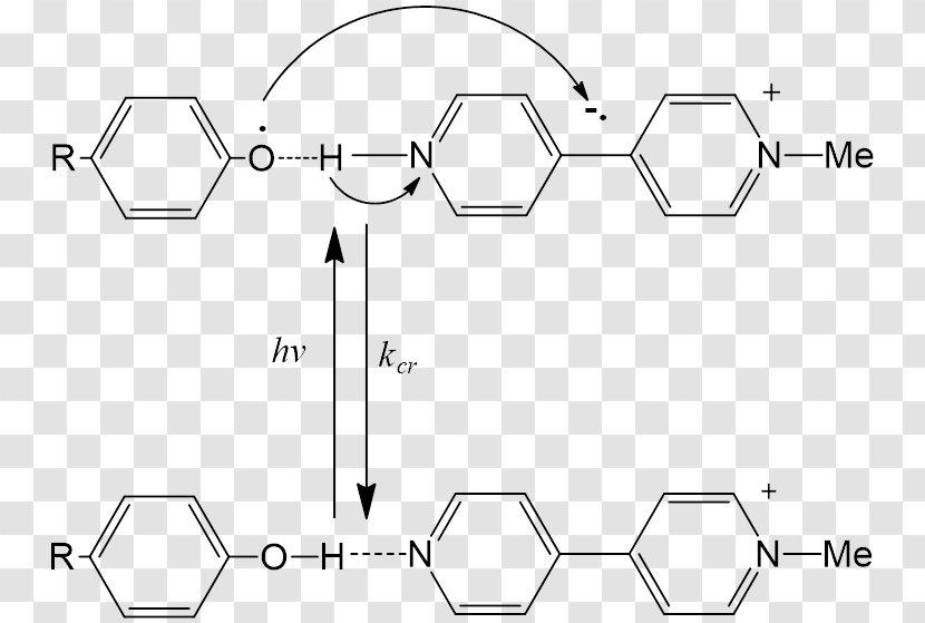 Fluorenylmethyloxycarbonyl Chloride Peptide Synthesis Paper Drawing /m/02csf - Black And White Transparent PNG