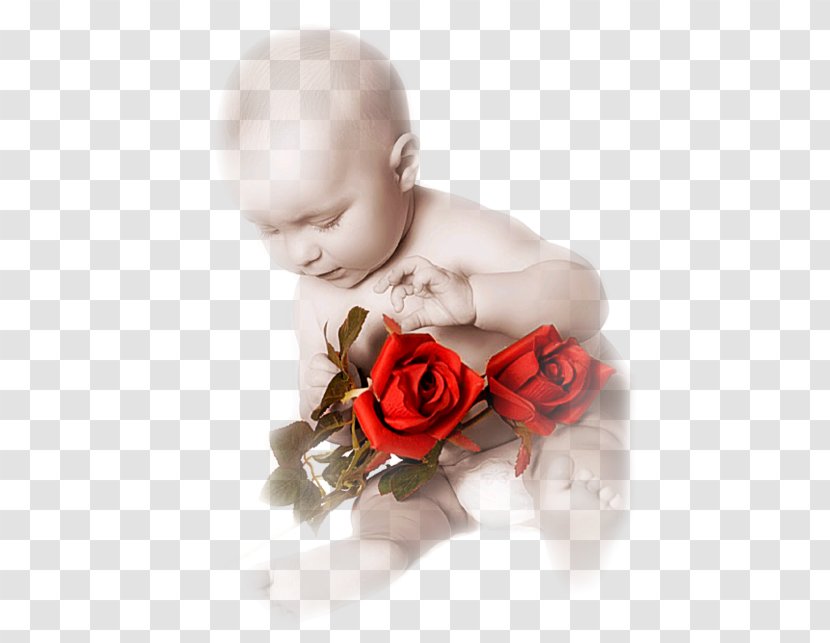 Party Mother's Day Father's Child - Gift Transparent PNG