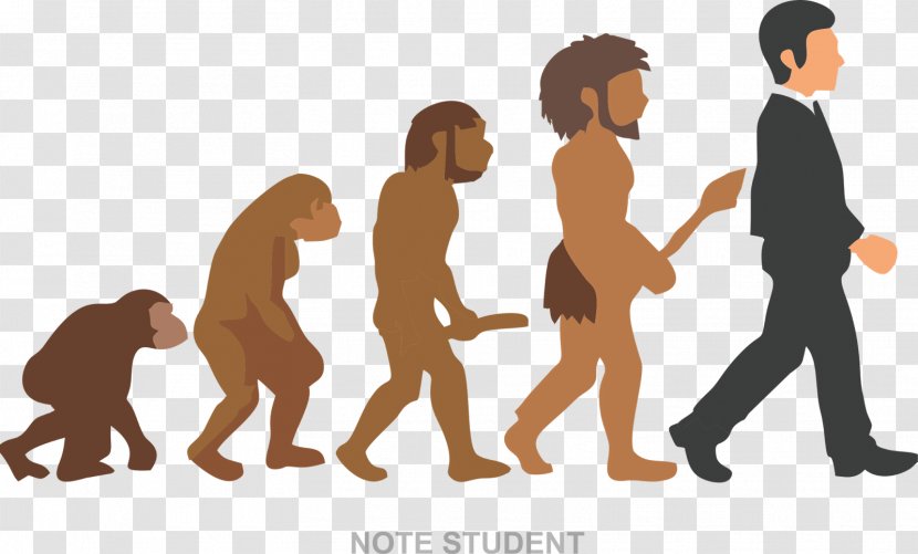 Neandertal Homo Sapiens The Evolution Of Living Things Coloring Book Human - Joint Transparent PNG
