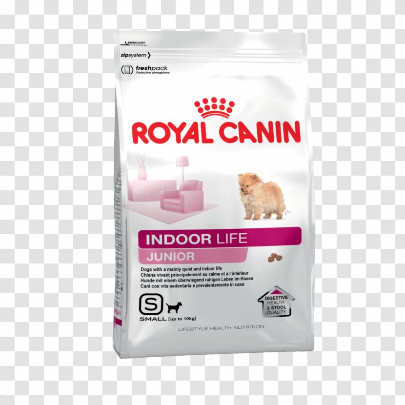 Dog Puppy Cat Food Kitten Transparent PNG