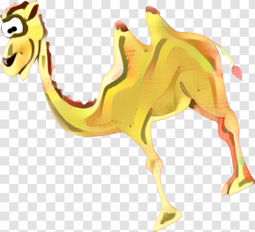 Dromedary Character Yellow Cartoon Fauna - Animal Transparent PNG