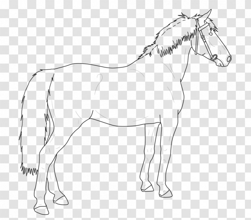 Mule Horse Stallion Foal Colt - Artwork Transparent PNG