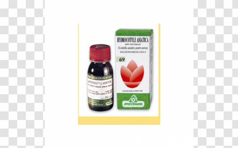 Tintura Madre Rosemary Oil Maceration Officinalis - Pharmacy - Centella Asiatica Transparent PNG