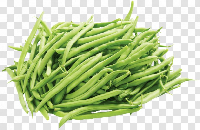 Green Bean Edamame Vegetable Transparent PNG
