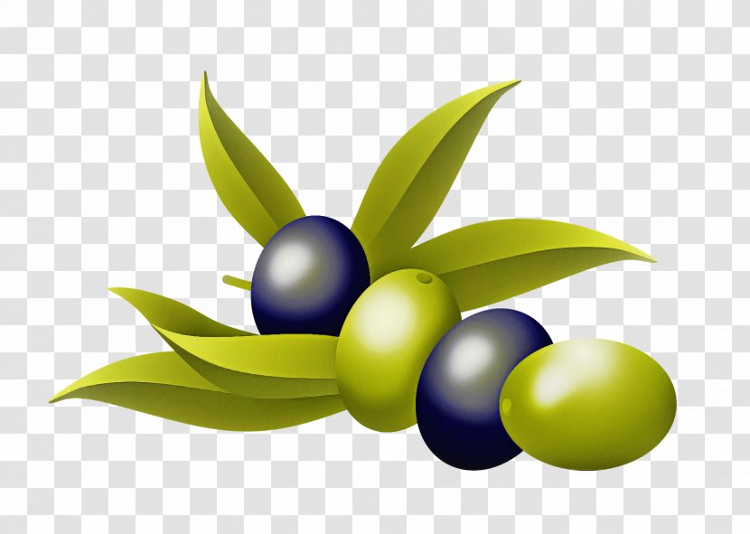 Fruit Olive Plant Leaf Berry - Flower Logo Transparent PNG