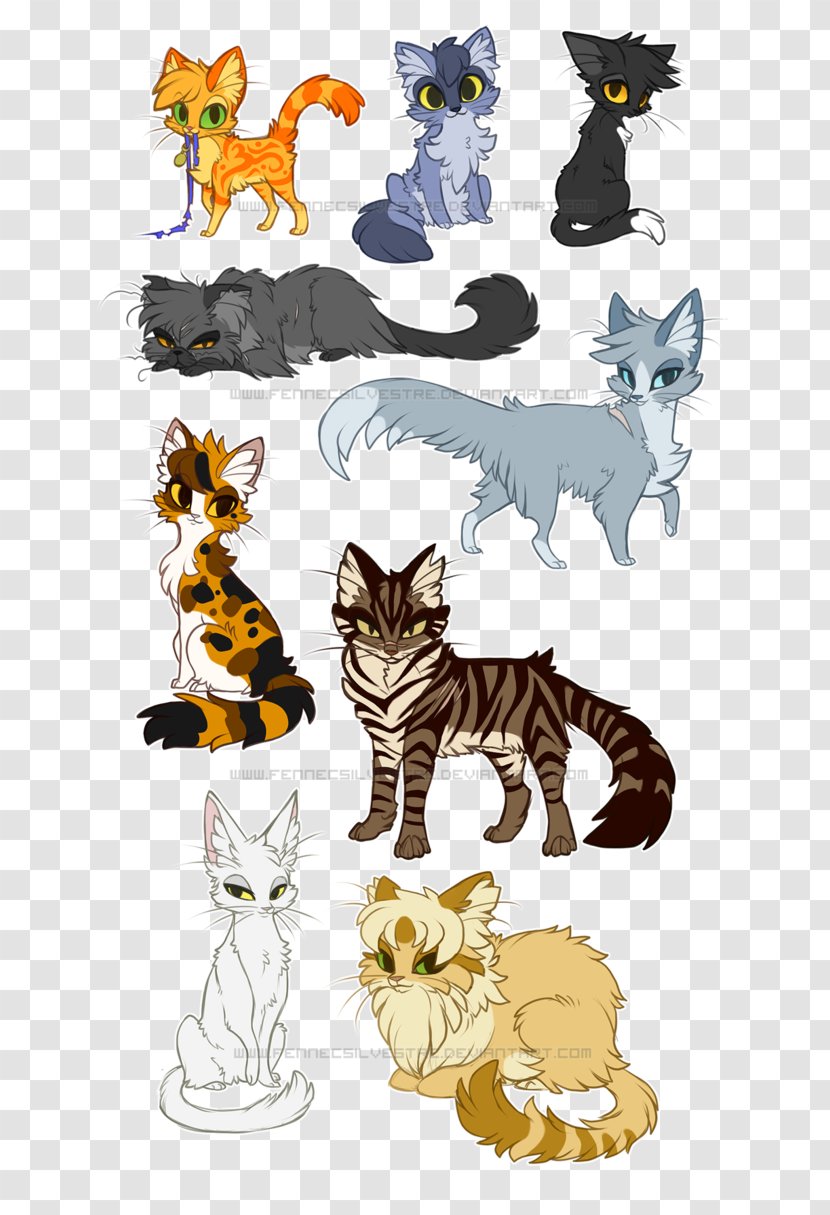 Kitten Into The Wild Cat Warriors Percy Jackson - Fauna Transparent PNG