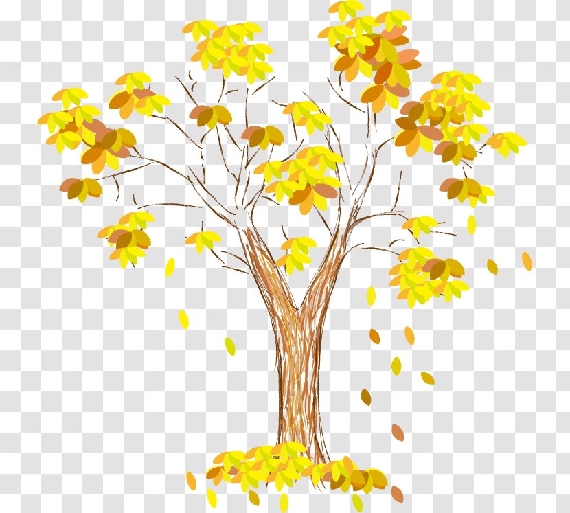 Floral Design Visual Arts Text Leaf Illustration - Pine - Vector Tree Transparent PNG