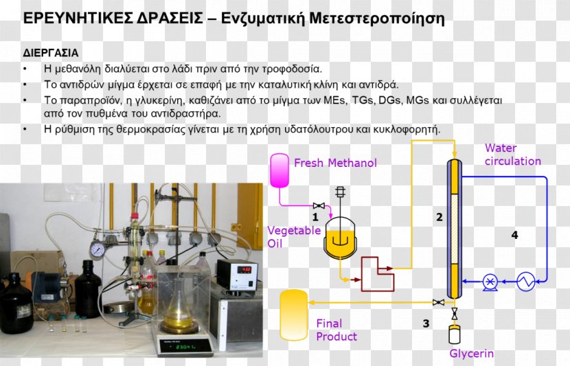 Biodiesel Process Methanol Fatty Acid - Poi Transparent PNG