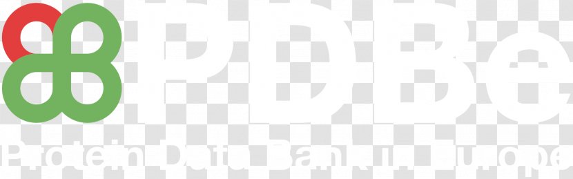 Logo Brand Desktop Wallpaper - Text - Hi Transparent PNG