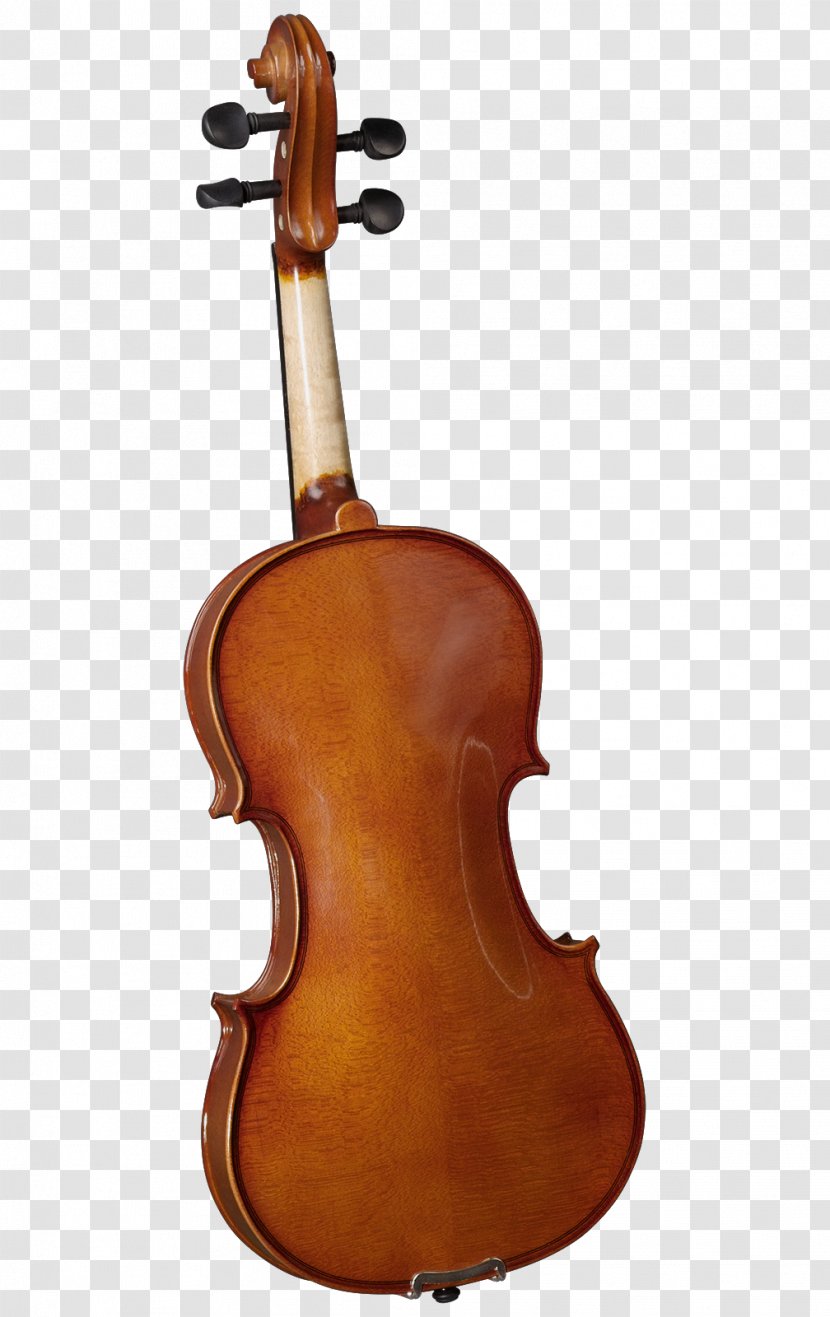 Bass Violin Violone Viola Cremona - Flower Transparent PNG